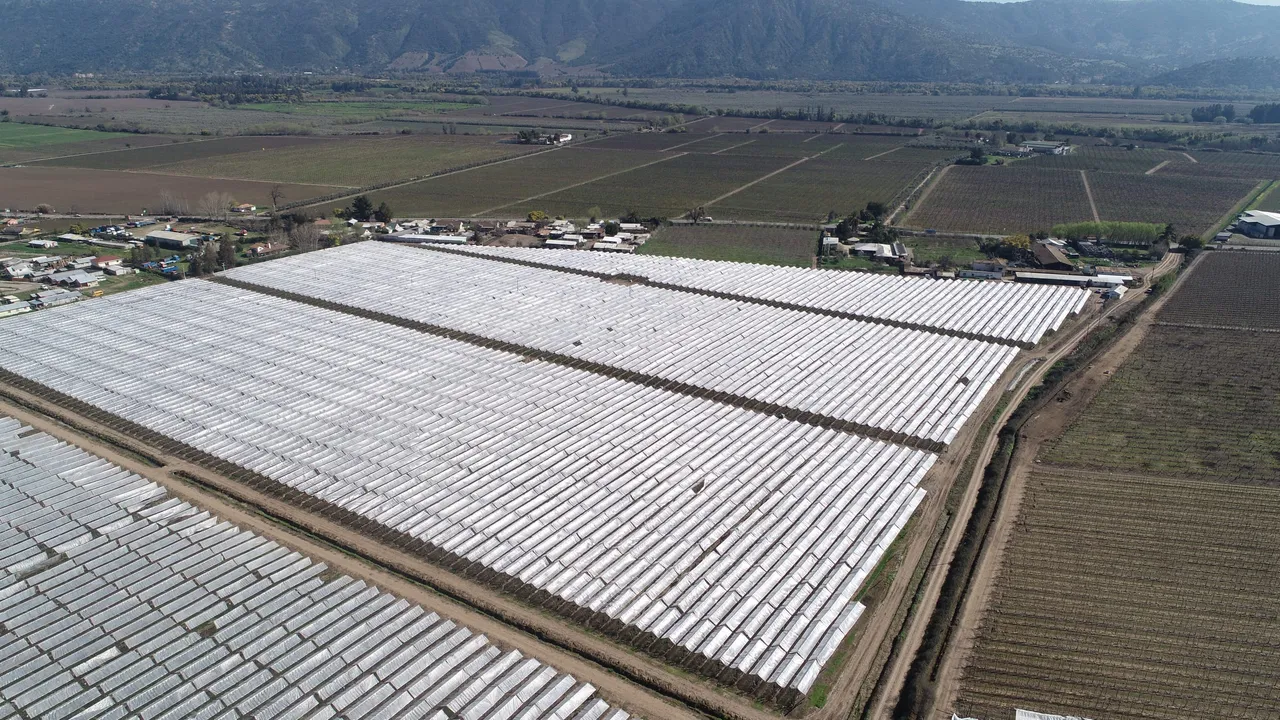 Vista aérea de huertos cubiertos con malla en el valle de Curicó